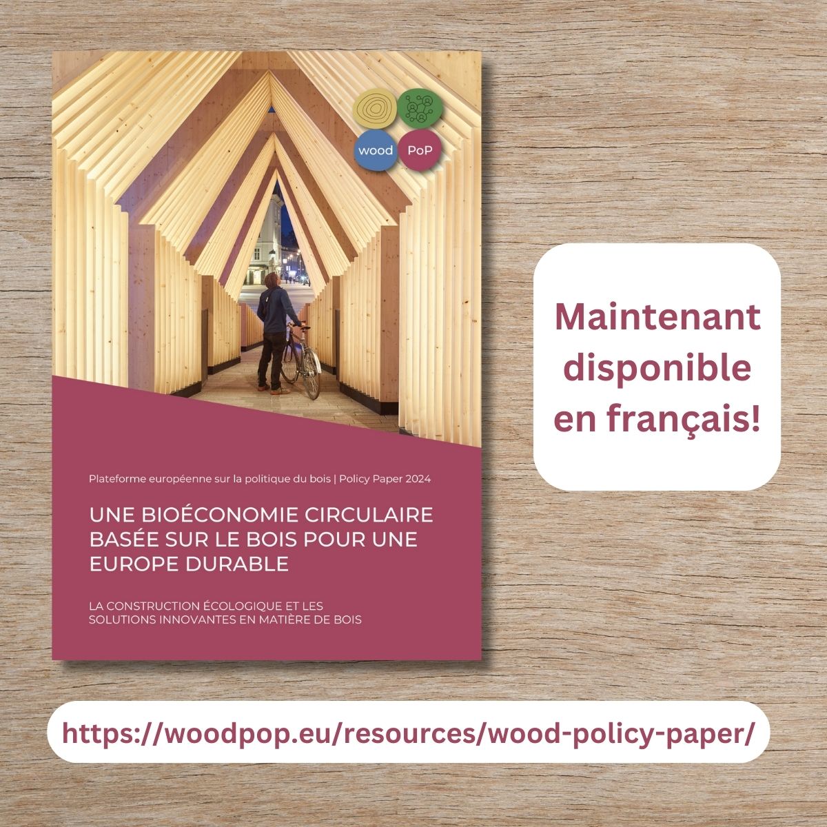 Advancing a Sustainable Wood-Based Circular Bioeconomy in Europe: Wood Policy Paper Now Available in French