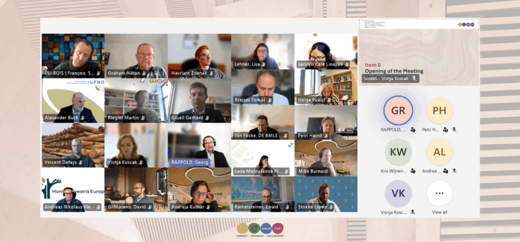 A screenshot of a Microsoft Teams meeting showing the participant video tiles.