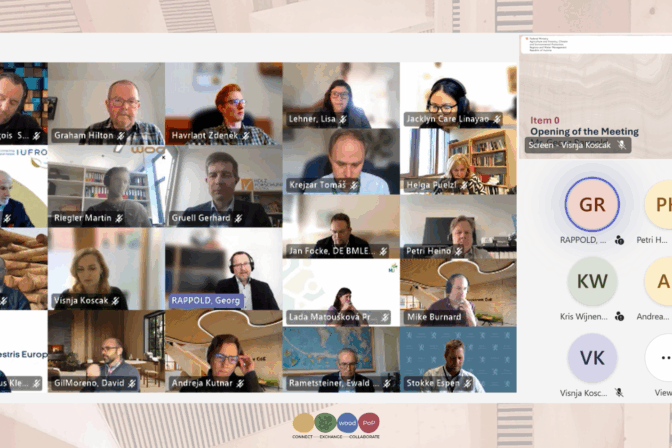 WoodPoP’s 8th Expert Group Meeting convened online