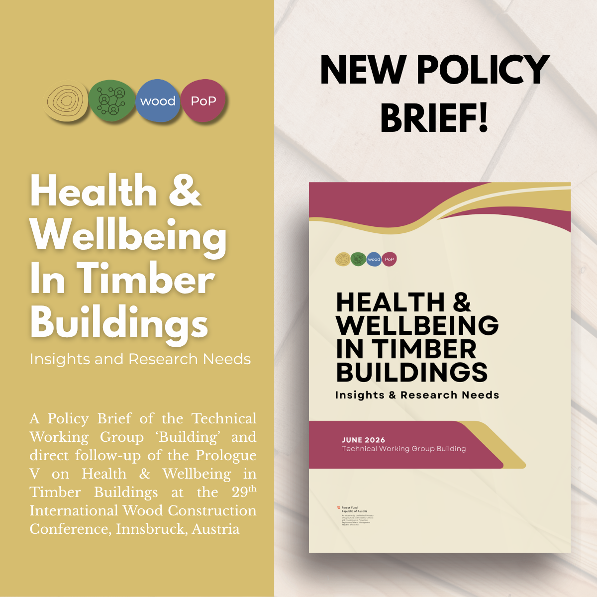 Health and Wellbeing in Timber Buildings